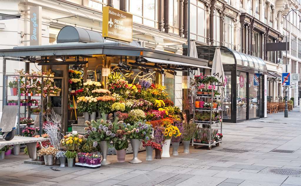 Hotel Calmo Viena Facilități foto