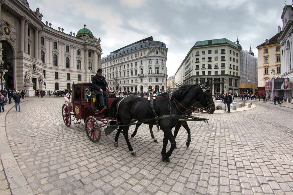 Hotel Calmo Viena Facilități foto