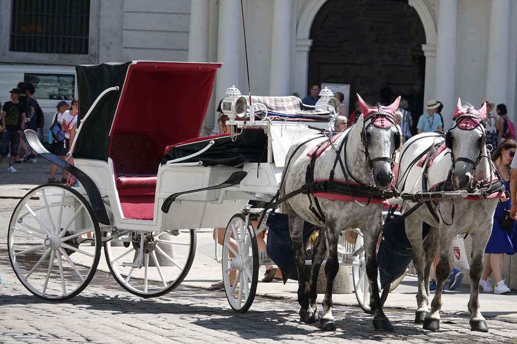 Hotel Calmo Viena Facilități foto